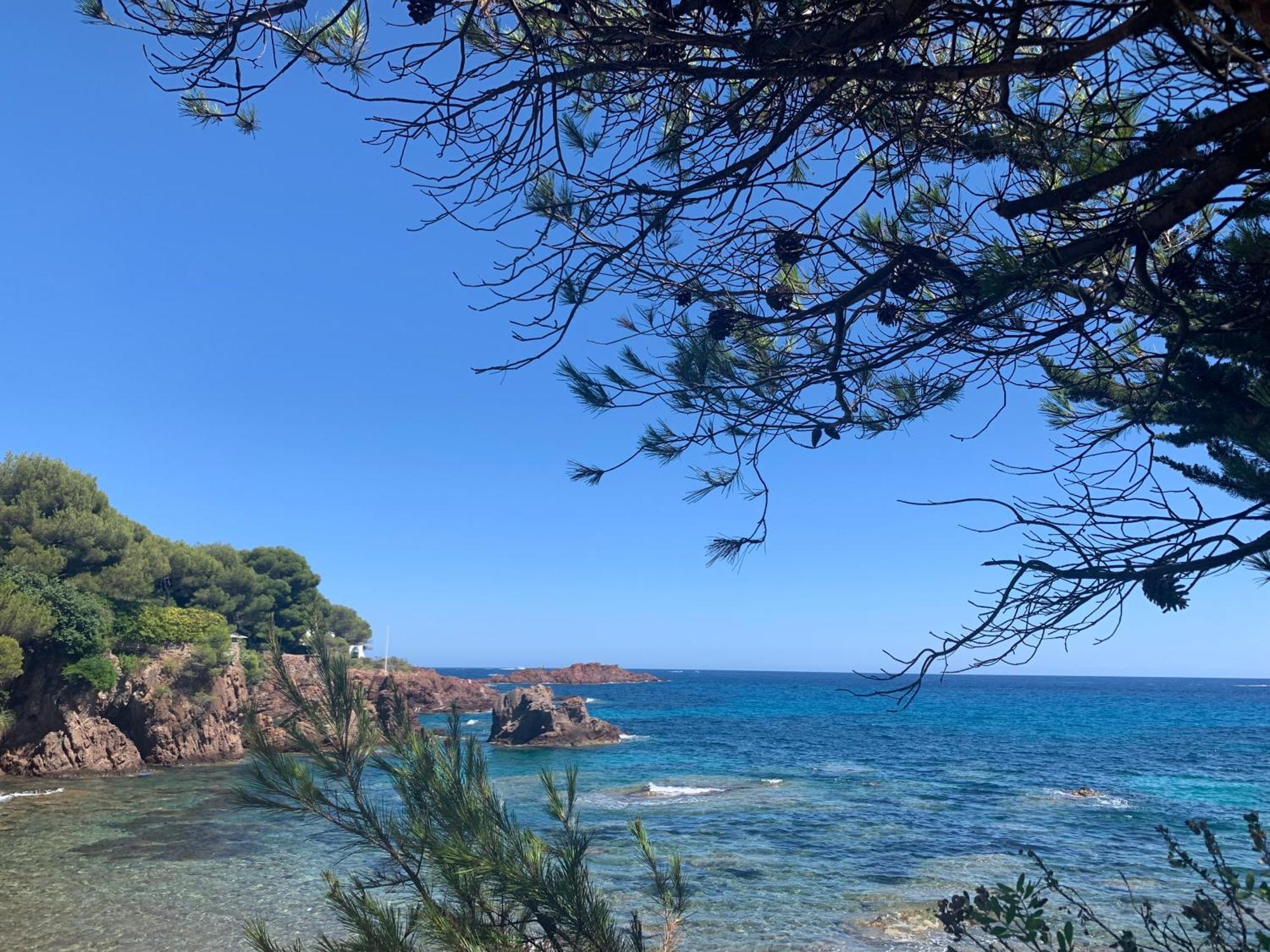 Studio Climatise Avec Piscine Saint-Raphael  Bagian luar foto